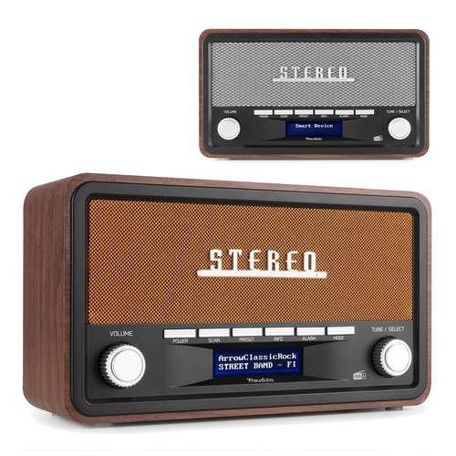 Audizio foggia portable - foggia, dab